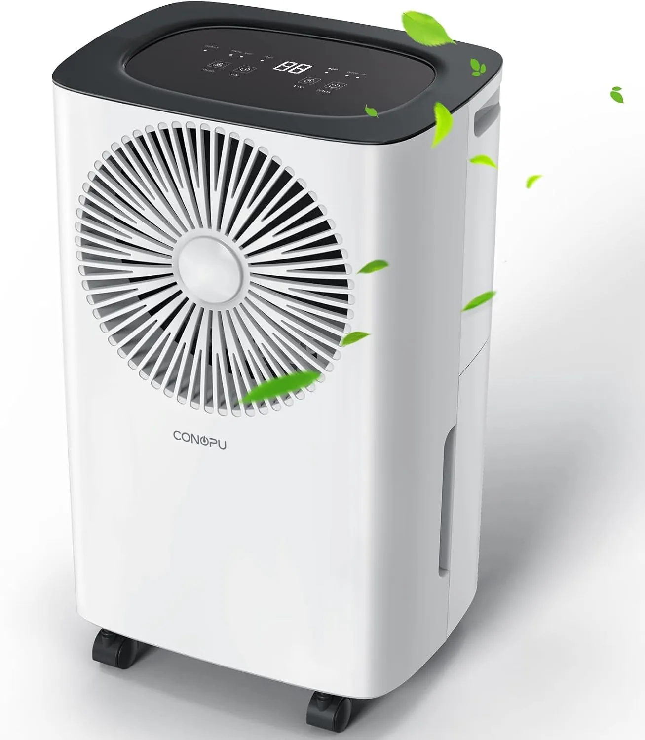 CONOPU Dehumidifier 12 L/day, continuous drain, auto mode, sleep mode, 24h timer, photo 3